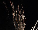 Montecarlo-2014_584
