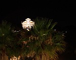 Montecarlo-2014_593