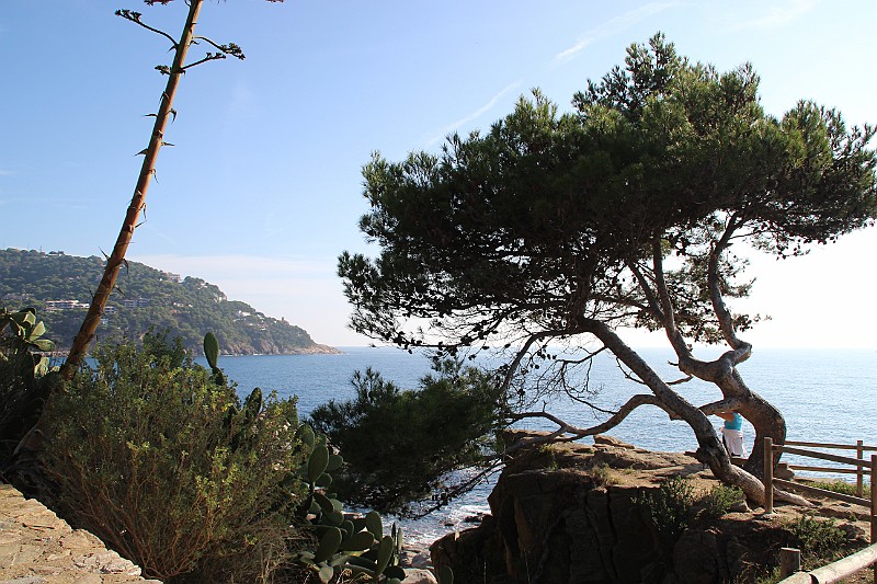 Palafrugell2014_055