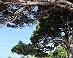 Palafrugell2014_059