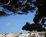 Palafrugell2014_060
