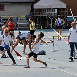 IMG_5495
