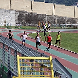 IMG_6964