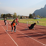 IMG_8631