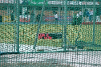 IMG_3420