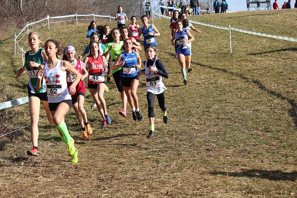 20190310093537_IMG_8465