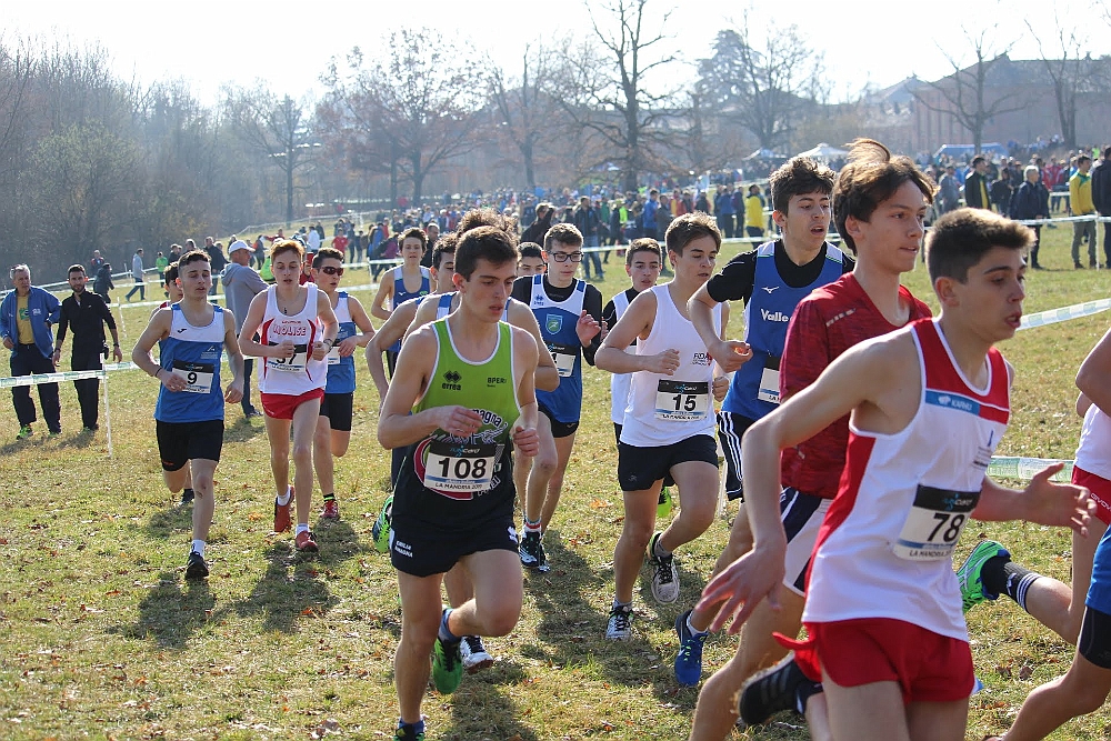 20190310095352_IMG_8485