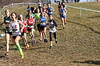 20190310093537_IMG_8465