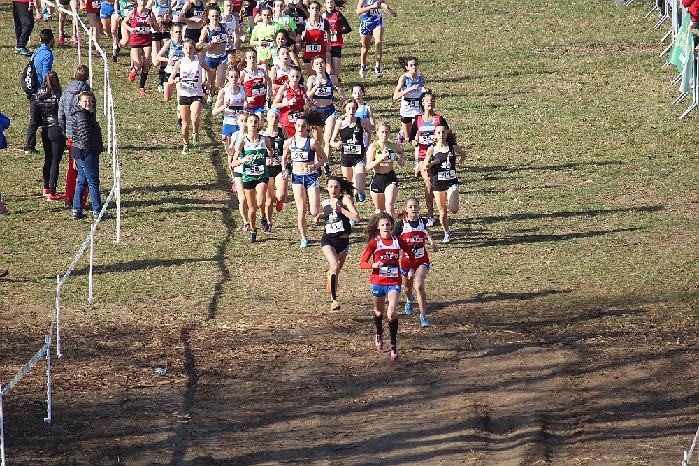 20190310093153_IMG_8449