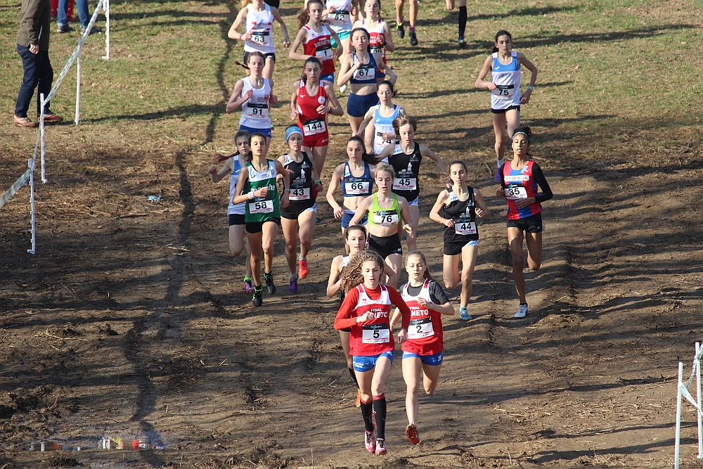 20190310093155_IMG_8450