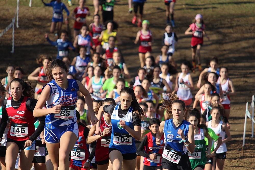 20190310093208_IMG_8452