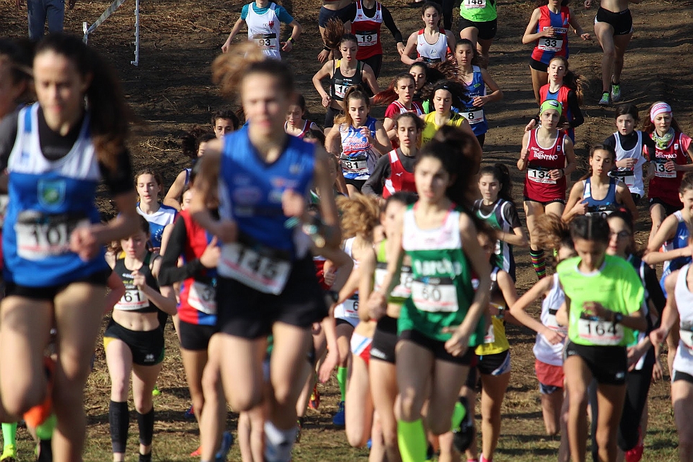 20190310093210_IMG_8453