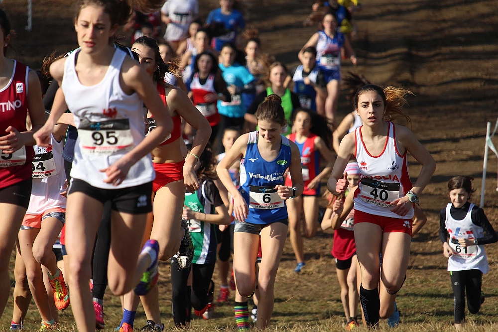 20190310093214_IMG_8455