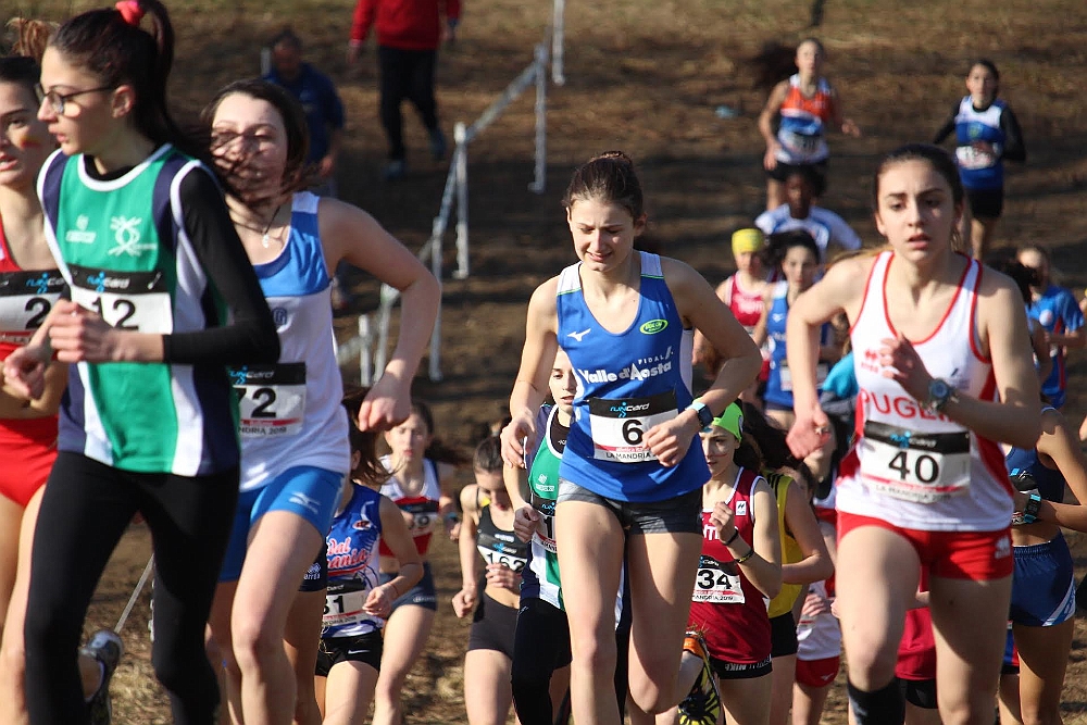 20190310093216_IMG_8456