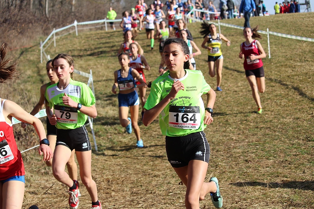 20190310093525_IMG_8462