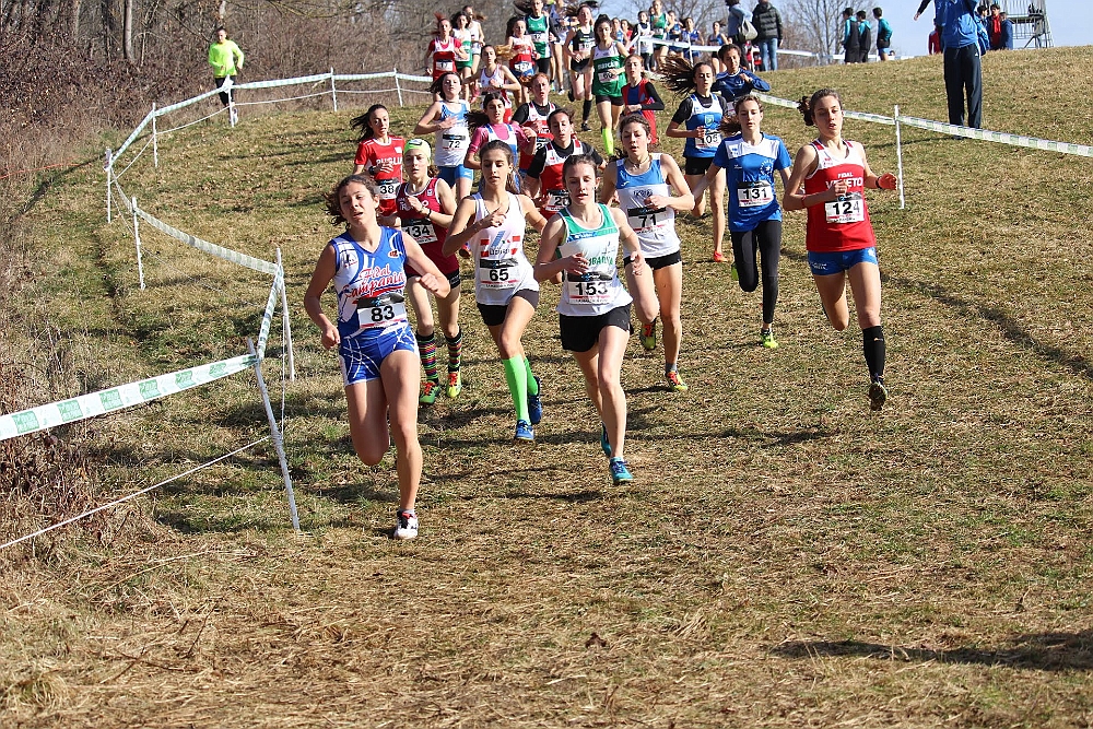 20190310093528_IMG_8463