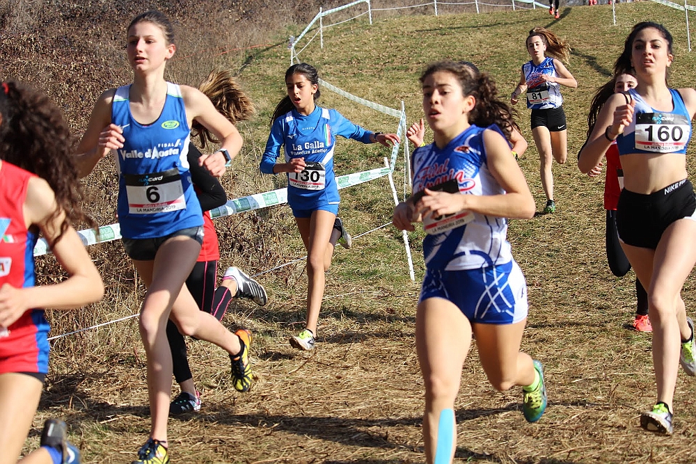 20190310093539_IMG_8467