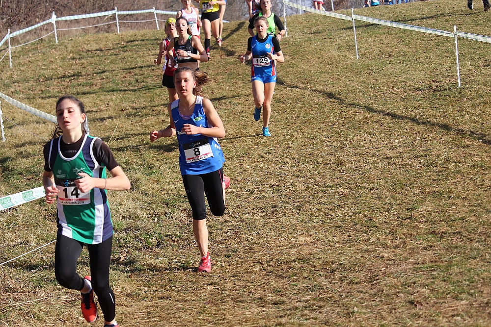 20190310093545_IMG_8468