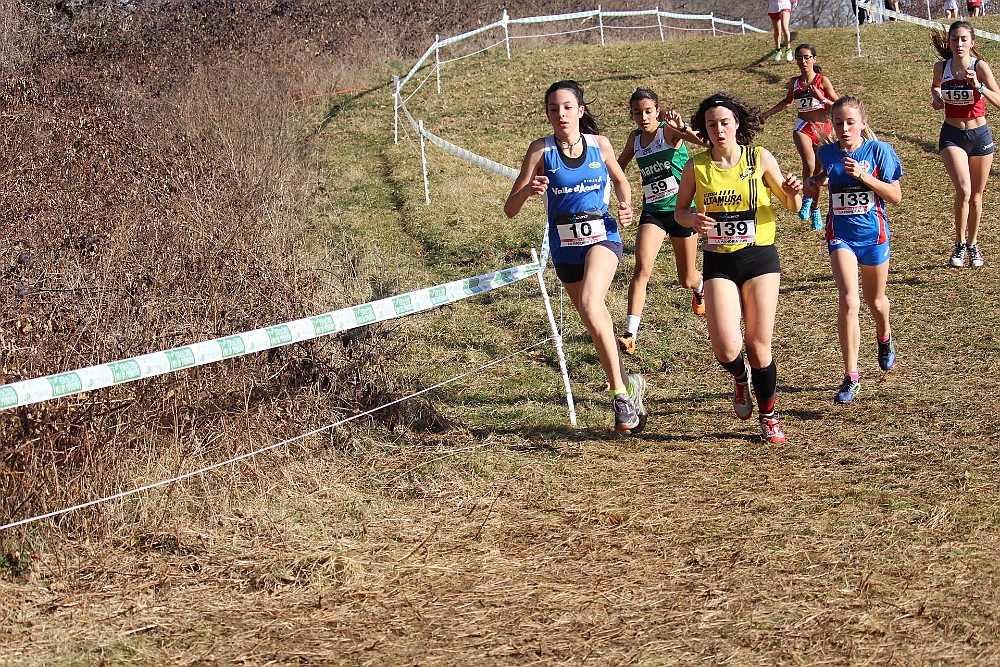 20190310093550_IMG_8470