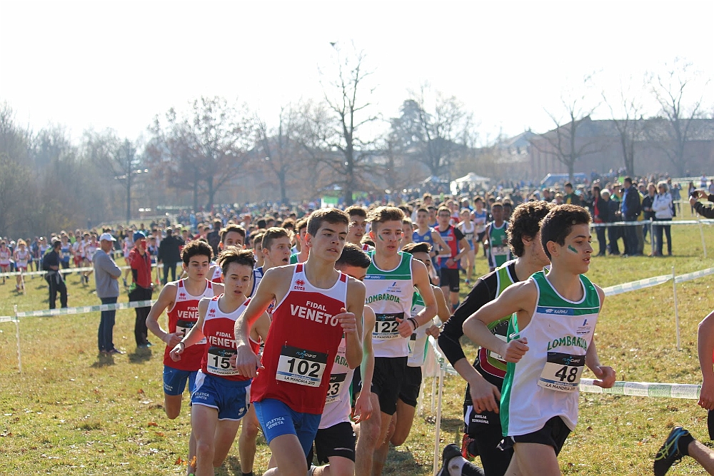 20190310095340_IMG_8473