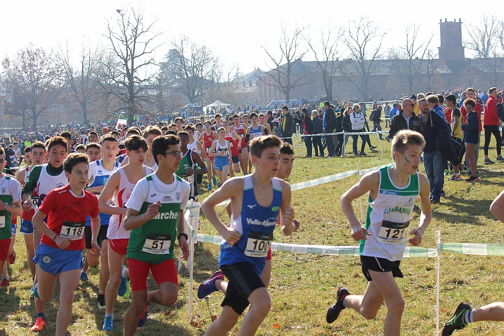 20190310095342_IMG_8475