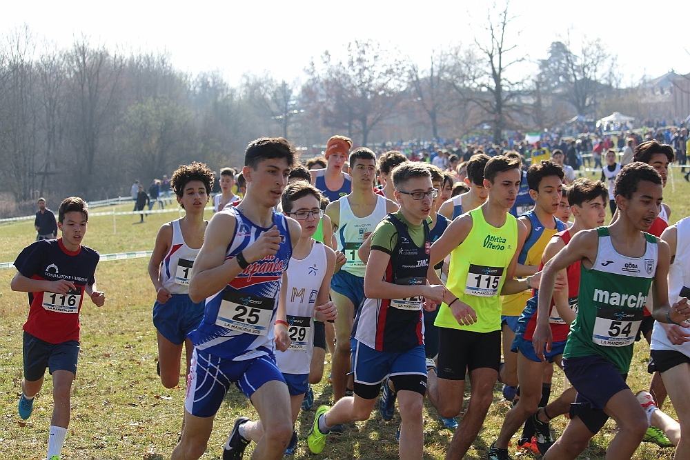 20190310095348_IMG_8483