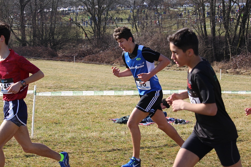 20190310095735_IMG_8497