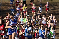 20190310093208_IMG_8452