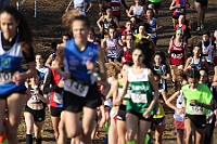 20190310093210_IMG_8453