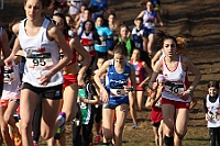 20190310093214_IMG_8455