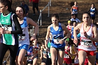 20190310093216_IMG_8456