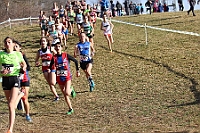 20190310093521_IMG_8460