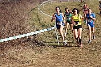 20190310093550_IMG_8470