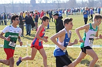 20190310095342_IMG_8476