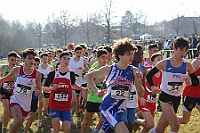 20190310095347_IMG_8481