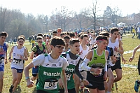 20190310095348_IMG_8482