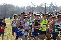 20190310095348_IMG_8483