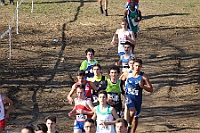 20190310095645_IMG_8489