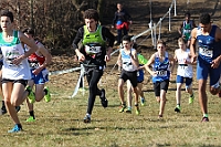 20190310095650_IMG_8491