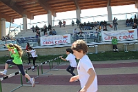 IMG_8800