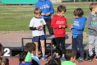 IMG_8919