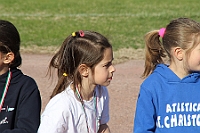 IMG_8953