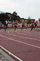 IMG_1371